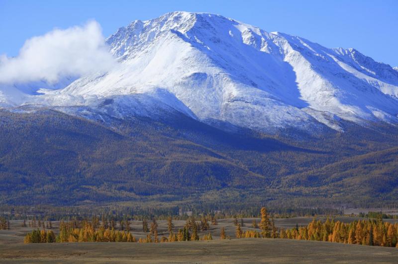 составление идельной диеты. Улаживаю проблемы со здоровьем.