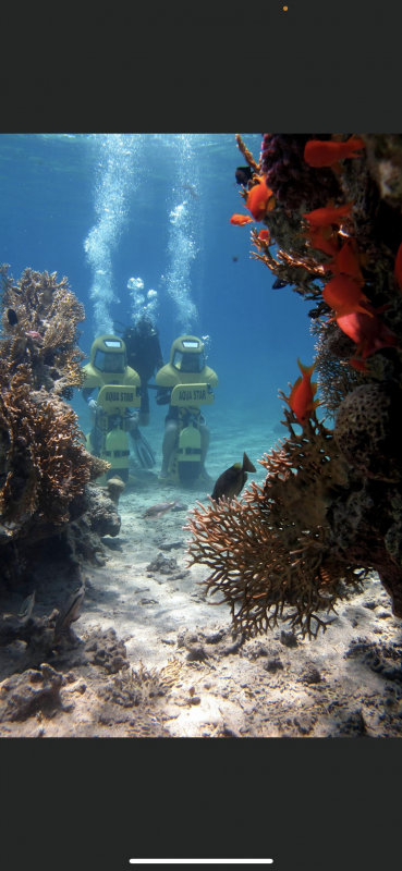 Дайвинг клуб Aqua Star Eilat