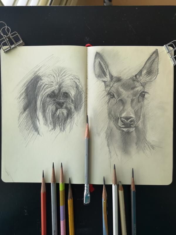 Школа рисования для взрослых и детей. Цена указана за месяц обучения