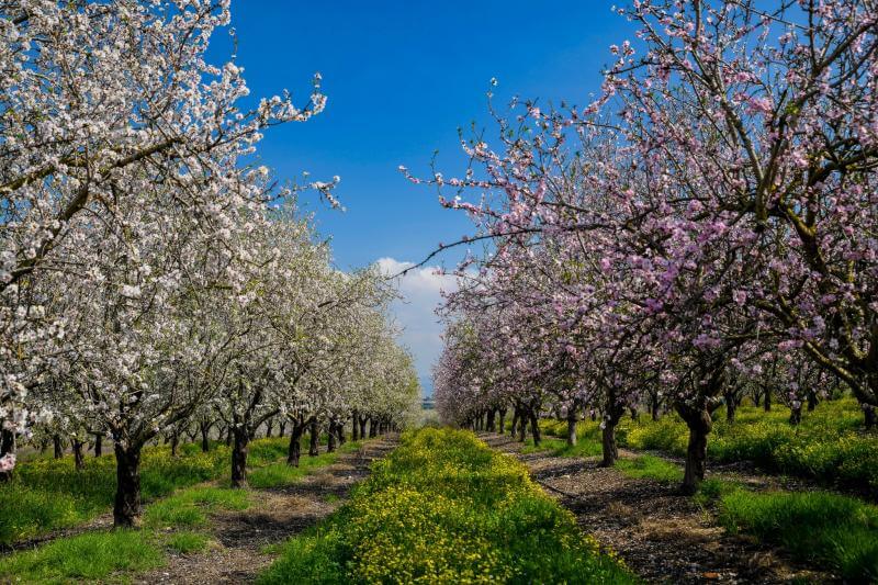 Фотосессия