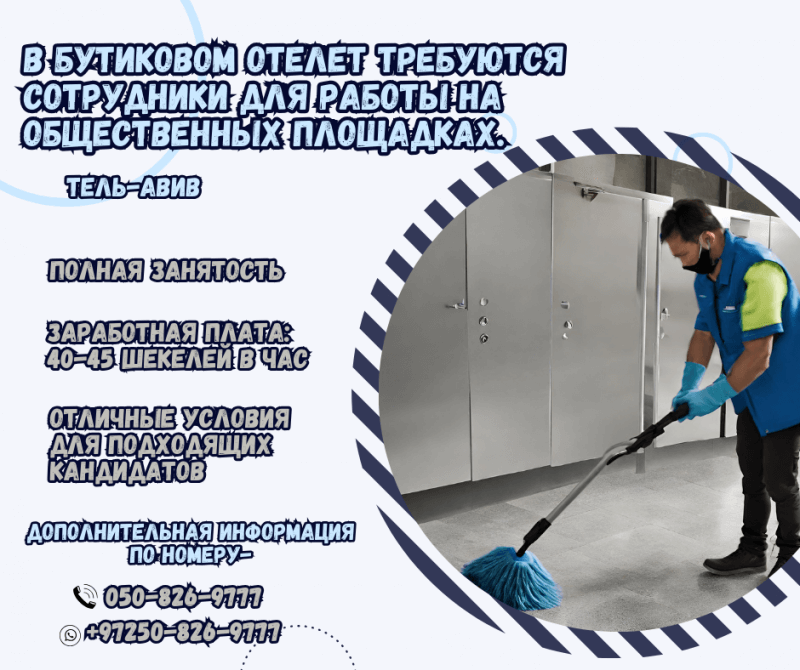 сотрудники для работы на общественных площадках.