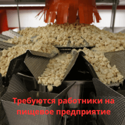 РАБОТНИКИ/ЦЫ НА ПИЩЕВОЕ ПРЕДПРИЯТИЕ