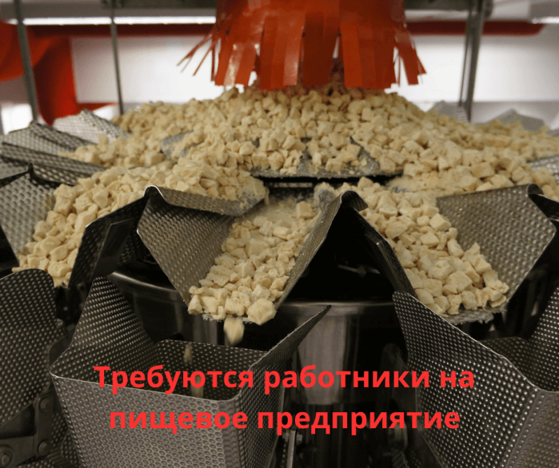 РАБОТНИКИ/ЦЫ НА ПИЩЕВОЕ ПРЕДПРИЯТИЕ