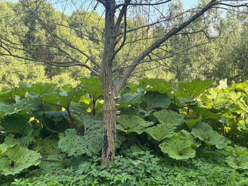 Массаж 40543091991